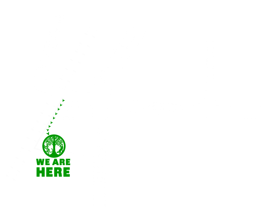 Lime Tyger Ormskirk’s Cocktail Hideout